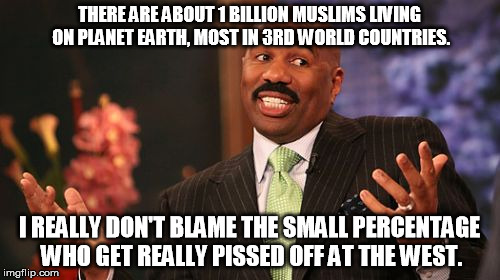 Steve Harvey Meme | THERE ARE ABOUT 1 BILLION MUSLIMS LIVING ON PLANET EARTH, MOST IN 3RD WORLD COUNTRIES. I REALLY DON'T BLAME THE SMALL PERCENTAGE WHO GET REA | image tagged in memes,steve harvey | made w/ Imgflip meme maker