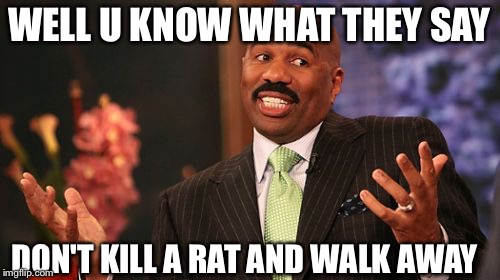 Steve Harvey Meme | WELL U KNOW WHAT THEY SAY; DON'T KILL A RAT AND WALK AWAY | image tagged in memes,steve harvey | made w/ Imgflip meme maker
