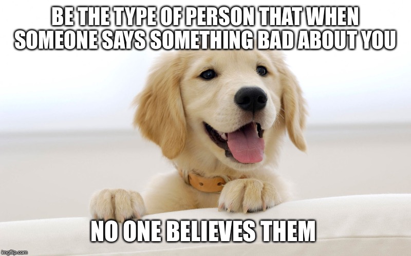 Cute dog idiot | BE THE TYPE OF PERSON THAT WHEN SOMEONE SAYS SOMETHING BAD ABOUT YOU; NO ONE BELIEVES THEM | image tagged in cute dog idiot | made w/ Imgflip meme maker