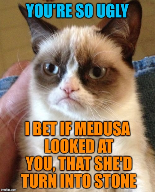 Grumpy Cat | YOU'RE SO UGLY; I BET IF MEDUSA LOOKED AT YOU, THAT SHE'D TURN INTO STONE | image tagged in memes,grumpy cat,funny,burned,roast,roasted | made w/ Imgflip meme maker