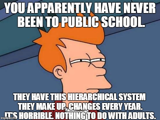 Futurama Fry Meme | YOU APPARENTLY HAVE NEVER BEEN TO PUBLIC SCHOOL. THEY HAVE THIS HIERARCHICAL SYSTEM THEY MAKE UP, CHANGES EVERY YEAR. IT'S HORRIBLE. NOTHING | image tagged in memes,futurama fry | made w/ Imgflip meme maker