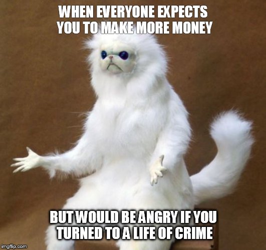 Persian cat room guard | WHEN EVERYONE EXPECTS YOU TO MAKE MORE MONEY; BUT WOULD BE ANGRY IF YOU TURNED TO A LIFE OF CRIME | image tagged in persian cat room guardian,money,hat | made w/ Imgflip meme maker