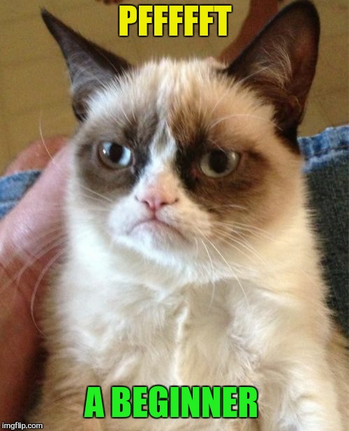 Grumpy Cat Meme | PFFFFFT A BEGINNER | image tagged in memes,grumpy cat | made w/ Imgflip meme maker