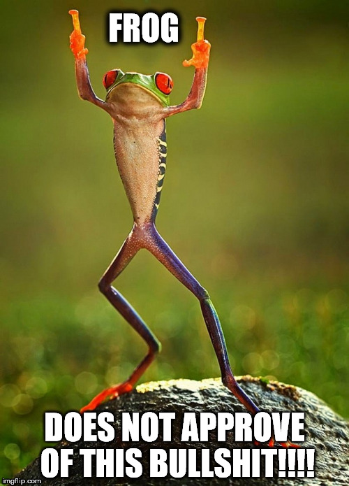 frog | FROG; DOES NOT APPROVE OF THIS BULLSHIT!!!! | image tagged in bullshit,does not approve | made w/ Imgflip meme maker