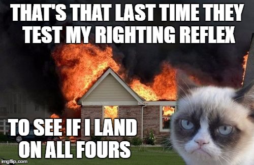 Has Anybody Else Done This To Their Poor Cat? | THAT'S THAT LAST TIME THEY TEST MY RIGHTING REFLEX; TO SEE IF I LAND ON ALL FOURS | image tagged in memes,burn kitty,cats | made w/ Imgflip meme maker