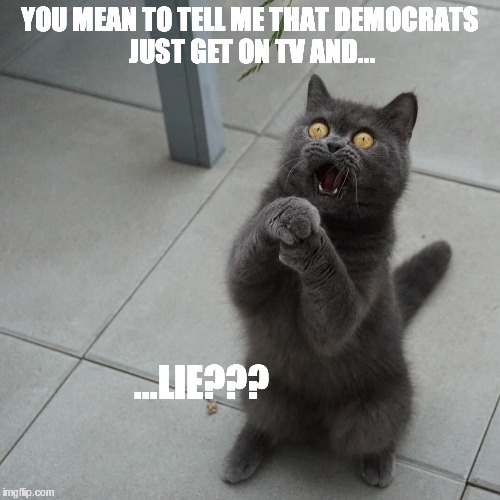 YOU MEAN TO TELL ME THAT DEMOCRATS JUST GET ON TV AND... ...LIE??? | made w/ Imgflip meme maker
