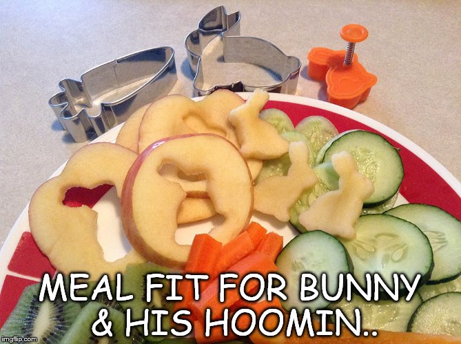 Noms | MEAL FIT FOR BUNNY & HIS HOOMIN.. | image tagged in memes | made w/ Imgflip meme maker