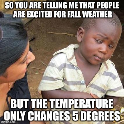 Florida.... Smh | SO YOU ARE TELLING ME THAT PEOPLE ARE EXCITED FOR FALL WEATHER; BUT THE TEMPERATURE ONLY CHANGES 5 DEGREES | image tagged in memes,third world skeptical kid,fall,florida,meanwhile in florida,funny | made w/ Imgflip meme maker