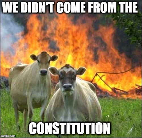 Evil Cows | WE DIDN'T COME FROM THE; CONSTITUTION | image tagged in memes,evil cows | made w/ Imgflip meme maker