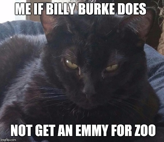 ME IF BILLY BURKE DOES; NOT GET AN EMMY FOR ZOO | image tagged in me if | made w/ Imgflip meme maker