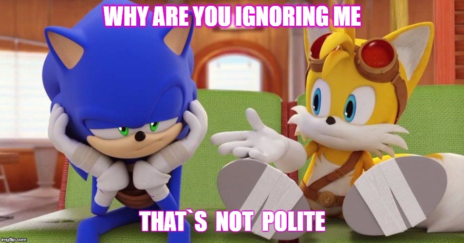 Sonic | WHY ARE YOU IGNORING ME; THAT`S  NOT  POLITE | image tagged in sonic | made w/ Imgflip meme maker