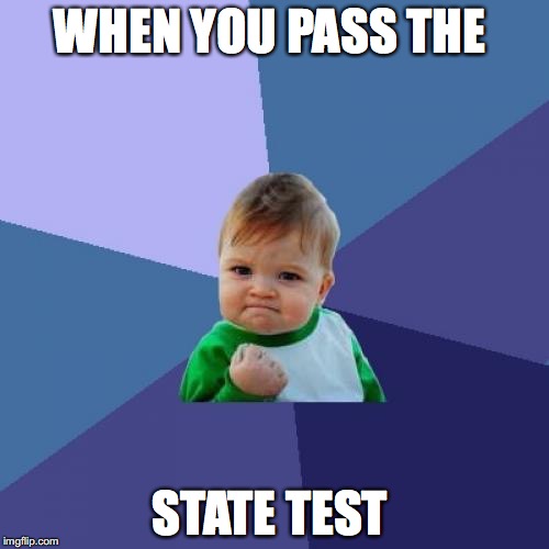 Success Kid | WHEN YOU PASS THE; STATE TEST | image tagged in memes,success kid | made w/ Imgflip meme maker