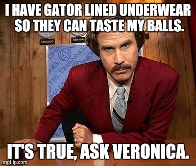 ron burgundy | I HAVE GATOR LINED UNDERWEAR SO THEY CAN TASTE MY BALLS. IT'S TRUE, ASK VERONICA. | image tagged in ron burgundy | made w/ Imgflip meme maker