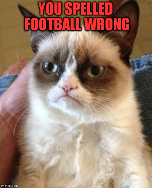 Grumpy Cat Meme | YOU SPELLED FOOTBALL WRONG | image tagged in memes,grumpy cat | made w/ Imgflip meme maker