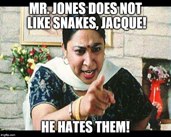Angry Indian Mum  | MR. JONES DOES NOT LIKE SNAKES, JACQUE! HE HATES THEM! | image tagged in angry indian mum | made w/ Imgflip meme maker