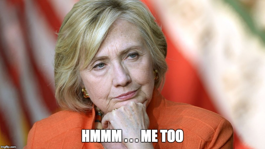 Hillary Disgusted | HMMM . . . ME TOO | image tagged in hillary disgusted | made w/ Imgflip meme maker