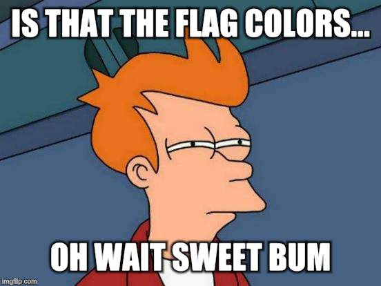 Futurama Fry Meme | IS THAT THE FLAG COLORS... OH WAIT SWEET BUM | image tagged in memes,futurama fry | made w/ Imgflip meme maker