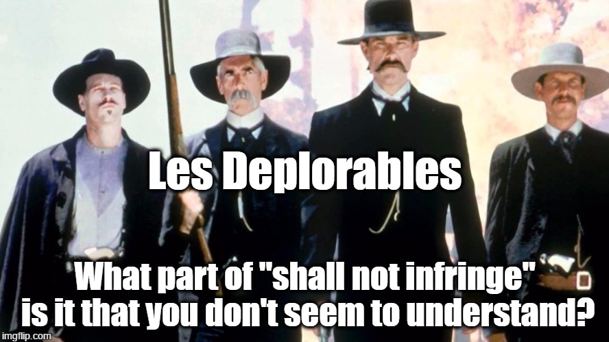 Les Deplorables | Les Deplorables; What part of "shall not infringe" is it that you don't seem to understand? | image tagged in infringe,second amendment,les deplorables | made w/ Imgflip meme maker
