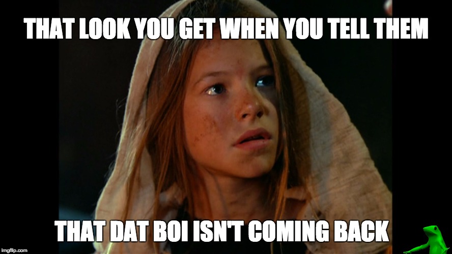 That Look You Get | THAT LOOK YOU GET WHEN YOU TELL THEM; THAT DAT BOI ISN'T COMING BACK | image tagged in that look you get | made w/ Imgflip meme maker
