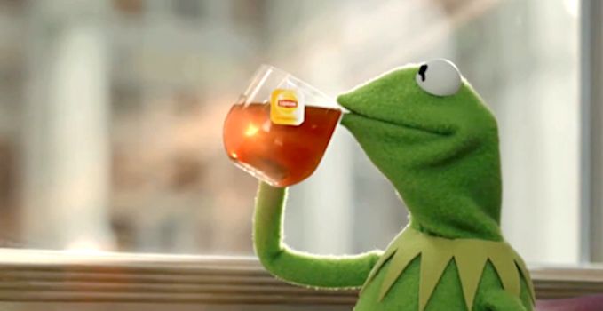 Kermit Sips Tea Blank Meme Template