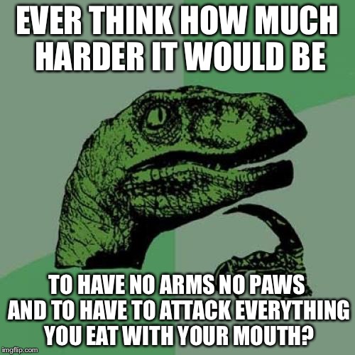 Philosoraptor Meme | EVER THINK HOW MUCH HARDER IT WOULD BE; TO HAVE NO ARMS NO PAWS AND TO HAVE TO ATTACK EVERYTHING YOU EAT WITH YOUR MOUTH? | image tagged in memes,philosoraptor | made w/ Imgflip meme maker