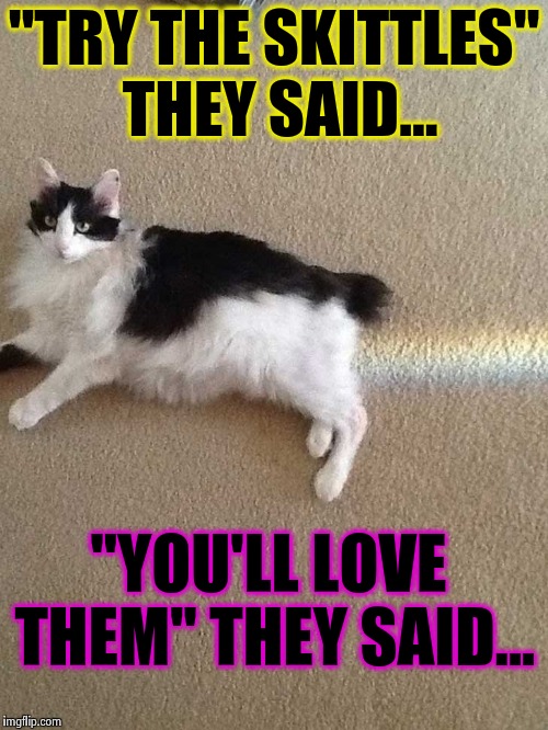 The real reason cats don't trust children. | "TRY THE SKITTLES" THEY SAID... "YOU'LL LOVE THEM" THEY SAID... | image tagged in funny cats,funny cat memes,memes,rainbow,poop,cats | made w/ Imgflip meme maker
