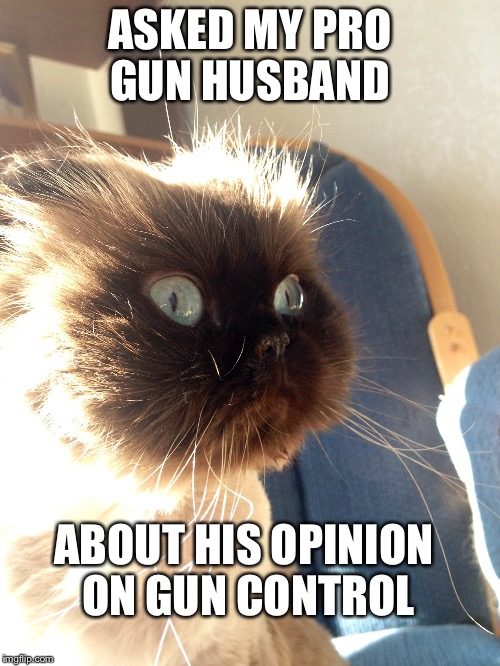 ASKED MY PRO GUN HUSBAND; ABOUT HIS OPINION ON GUN CONTROL | image tagged in blew up in face cat | made w/ Imgflip meme maker