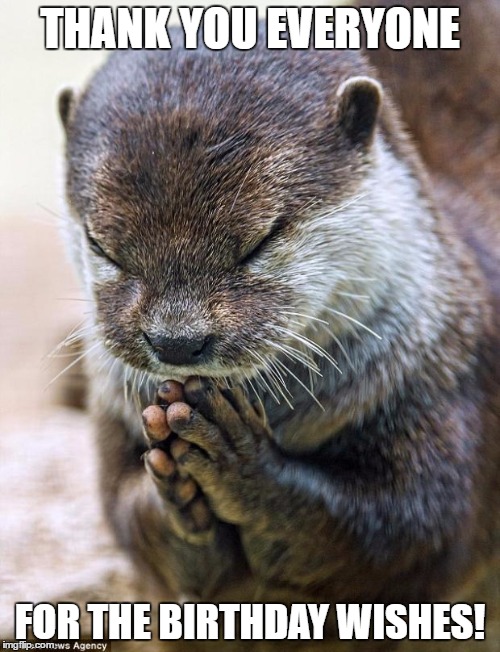 Thank you Lord Otter | THANK YOU EVERYONE; FOR THE BIRTHDAY WISHES! | image tagged in thank you lord otter | made w/ Imgflip meme maker