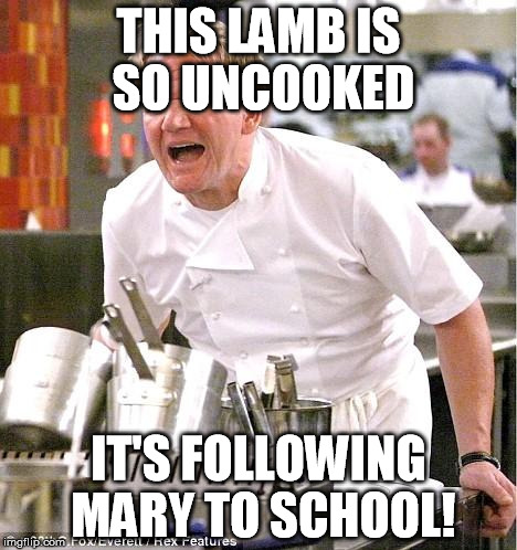 Chef Gordon Ramsay | THIS LAMB IS SO UNCOOKED; IT'S FOLLOWING MARY TO SCHOOL! | image tagged in memes,chef gordon ramsay | made w/ Imgflip meme maker