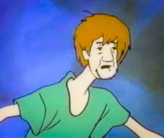 Confused shaggy  Blank Meme Template