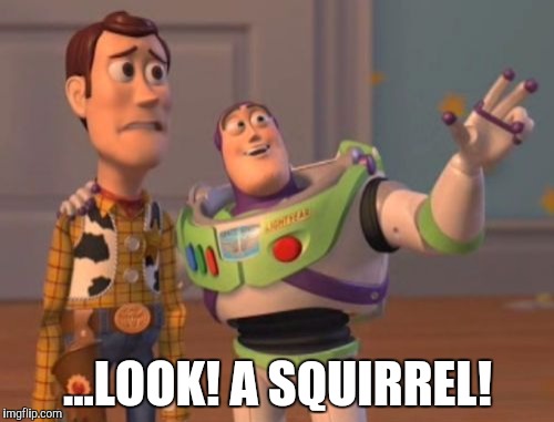 X, X Everywhere Meme | ...LOOK! A SQUIRREL! | image tagged in memes,x x everywhere | made w/ Imgflip meme maker