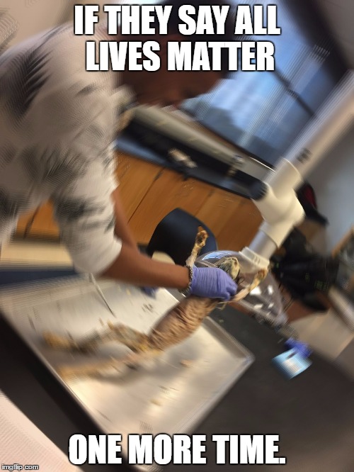 IF THEY SAY ALL LIVES MATTER; ONE MORE TIME. | image tagged in all lives matter | made w/ Imgflip meme maker