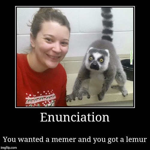 Enunciate!  | image tagged in funny,demotivationals,sewmyeyesshut,lemur the memur | made w/ Imgflip demotivational maker