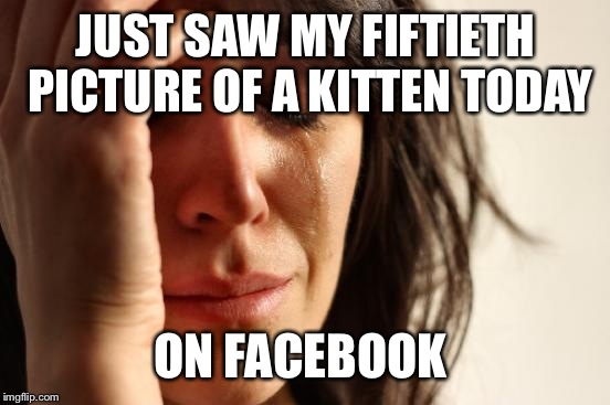 First World Problems Meme | JUST SAW MY FIFTIETH PICTURE OF A KITTEN TODAY ON FACEBOOK | image tagged in memes,first world problems | made w/ Imgflip meme maker