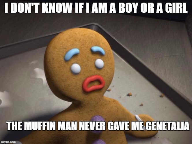 Gingerbread man | I DON'T KNOW IF I AM A BOY OR A GIRL; THE MUFFIN MAN NEVER GAVE ME GENETALIA | image tagged in gingerbread man | made w/ Imgflip meme maker