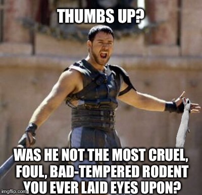 NO HOLY HAND-GRENADE FOR THIS KILLER | THUMBS UP? WAS HE NOT THE MOST CRUEL, FOUL, BAD-TEMPERED RODENT YOU EVER LAID EYES UPON? | image tagged in rabbit,monty python,gladiator | made w/ Imgflip meme maker
