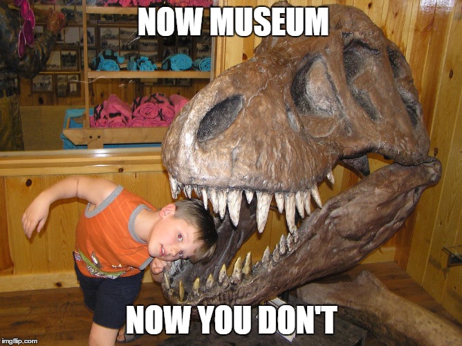 Jimmy's really getting into these exhibits! | NOW MUSEUM; NOW YOU DON'T | image tagged in dinosaur skull,museum,trex | made w/ Imgflip meme maker