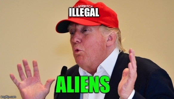 Trump  | ILLEGAL | image tagged in donald trump,build a wall | made w/ Imgflip meme maker
