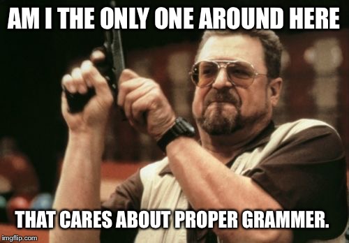 Am I The Only One Around Here Meme | AM I THE ONLY ONE AROUND HERE; THAT CARES ABOUT PROPER GRAMMER. | image tagged in memes,am i the only one around here | made w/ Imgflip meme maker