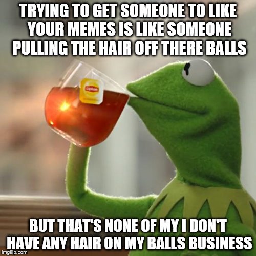 Do The Top Meme Makers Have Balls, But Thats None Of My Business, Sincerely Anonymous | TRYING TO GET SOMEONE TO LIKE YOUR MEMES IS LIKE SOMEONE PULLING THE HAIR OFF THERE BALLS; BUT THAT'S NONE OF MY I DON'T HAVE ANY HAIR ON MY BALLS BUSINESS | image tagged in memes,but thats none of my business,kermit the frog | made w/ Imgflip meme maker