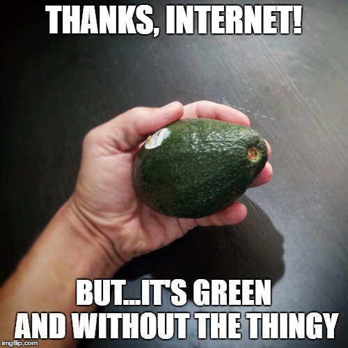 Thanks, Internet - Avocado | THANKS, INTERNET! BUT...IT'S GREEN AND WITHOUT THE THINGY | image tagged in thanks for nothing,avocado,now what | made w/ Imgflip meme maker