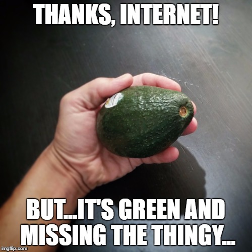 THANKS, INTERNET!  AVOCADO | THANKS, INTERNET! BUT...IT'S GREEN AND MISSING THE THINGY... | image tagged in avocado,thanks for nothing,now what | made w/ Imgflip meme maker