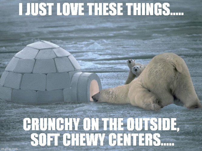 LOOK KIDS....CANDY! | I JUST LOVE THESE THINGS..... CRUNCHY ON THE OUTSIDE, SOFT CHEWY CENTERS..... | image tagged in polar bear | made w/ Imgflip meme maker