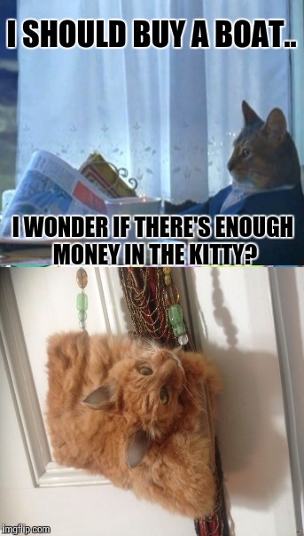 Purrfect Purse for any cat lover | I SHOULD BUY A BOAT.. I WONDER IF THERE'S ENOUGH MONEY IN THE KITTY? | image tagged in new zealand,cats,purse | made w/ Imgflip meme maker