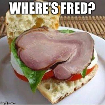 Cockmeat Samich | WHERE'S FRED? | image tagged in cockmeat samich | made w/ Imgflip meme maker