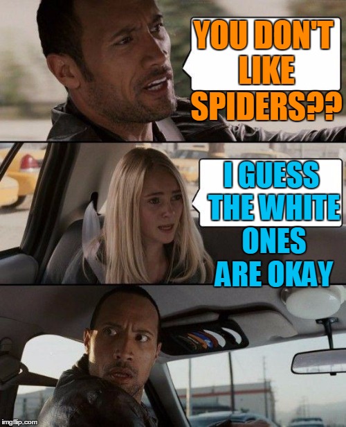 The Rock Driving Meme | YOU DON'T LIKE SPIDERS?? I GUESS THE WHITE ONES ARE OKAY | image tagged in memes,the rock driving | made w/ Imgflip meme maker