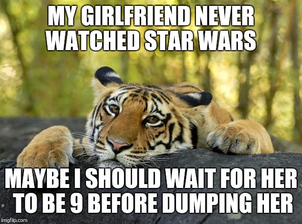 Confession Tiger | MY GIRLFRIEND NEVER WATCHED STAR WARS; MAYBE I SHOULD WAIT FOR HER TO BE 9 BEFORE DUMPING HER | image tagged in confession tiger | made w/ Imgflip meme maker