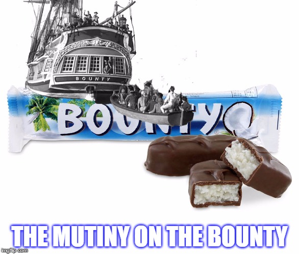 Mutiny on the Bounty | THE MUTINY ON THE BOUNTY | image tagged in bounty mutiny,bounty,mutiny | made w/ Imgflip meme maker