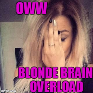 OWW BLONDE BRAIN OVERLOAD | image tagged in face palm | made w/ Imgflip meme maker
