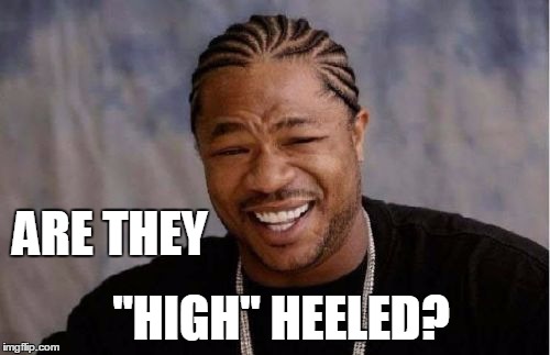 Yo Dawg Heard You Meme | "HIGH" HEELED? ARE THEY | image tagged in memes,yo dawg heard you | made w/ Imgflip meme maker